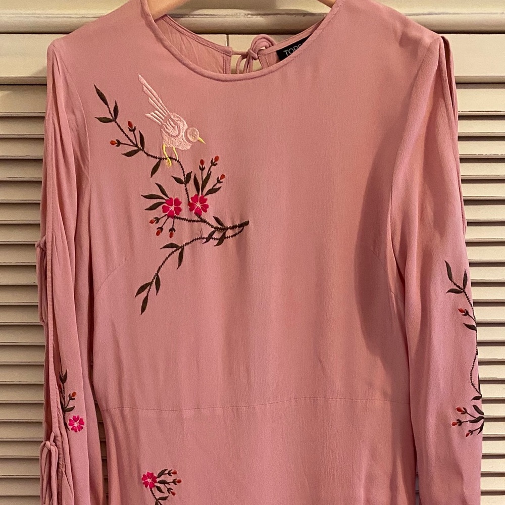 Topshop Blush Embroidered Dress
